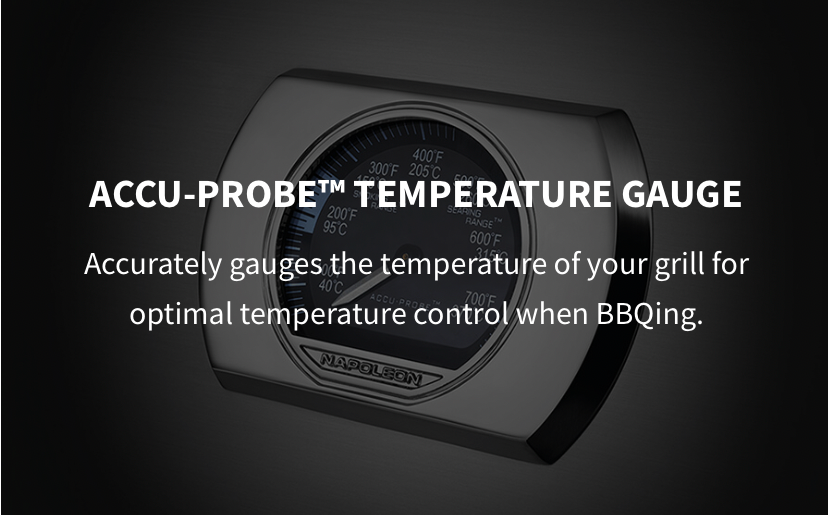 Built-in Prestige PROª 825 Gas Grill Head with Infrared Bottom and Rear Burner, SS