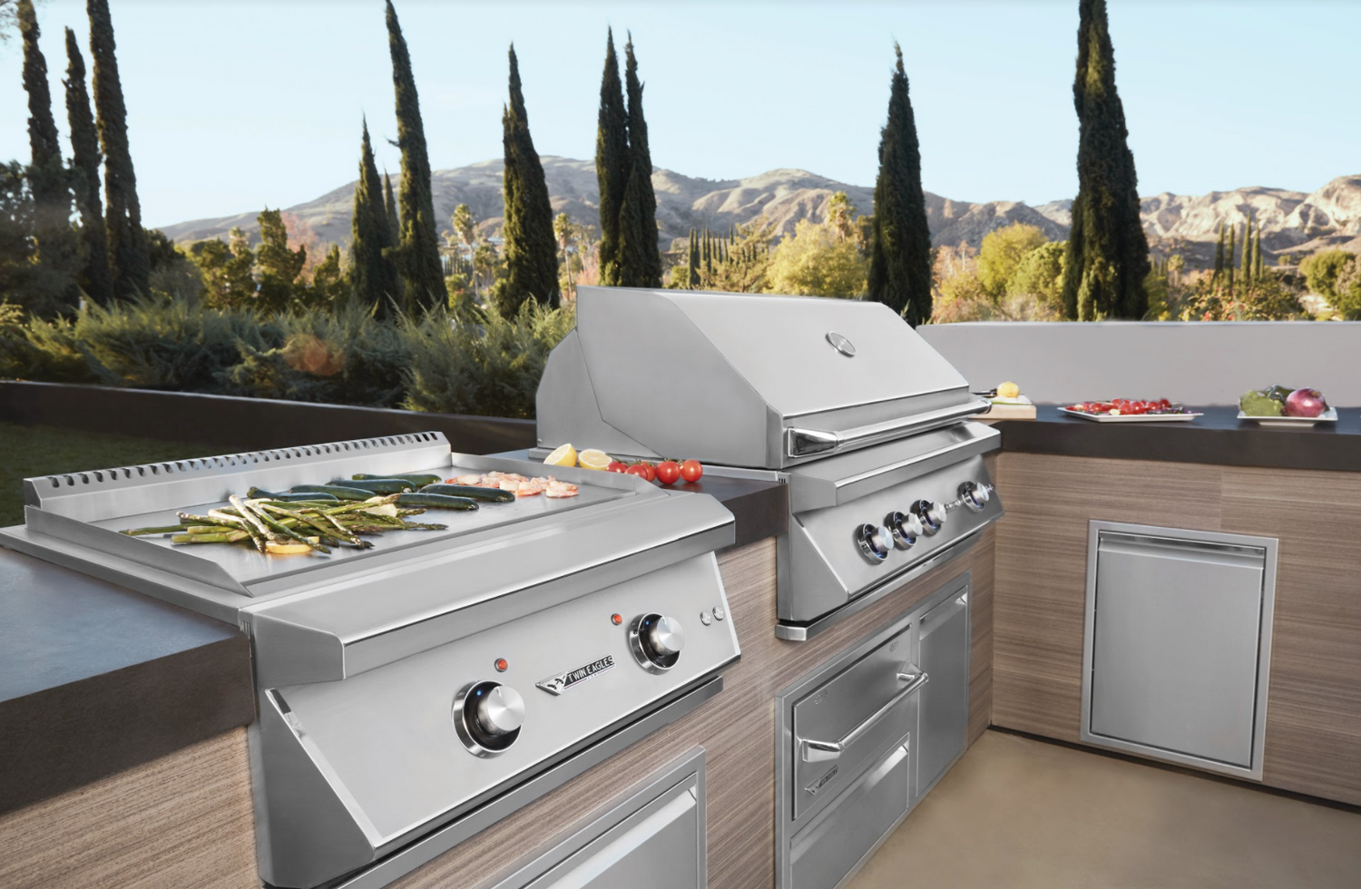 twin eagle built in grill